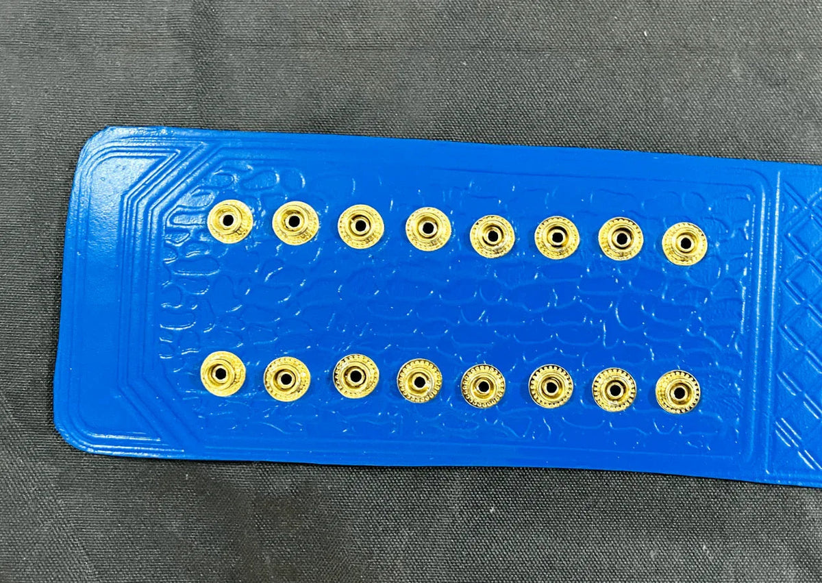 Jeff Hardy TNA Heavyweight Wrestling Championship Inspired Title Belt - photo 2 of 9 | Brex International