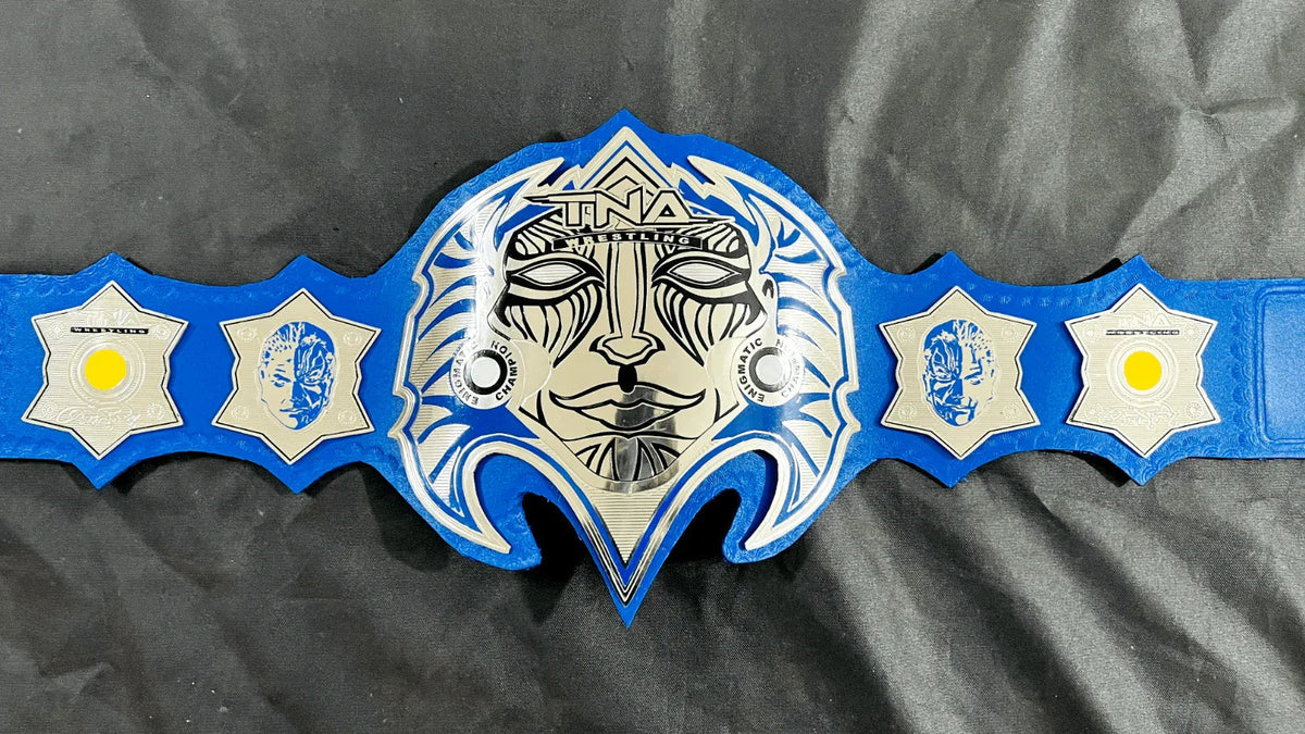 Jeff Hardy TNA Heavyweight Wrestling Championship Inspired Title Belt - photo 5 of 9 | Brex International