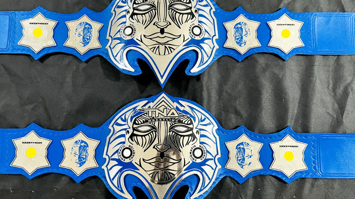 Jeff Hardy TNA Heavyweight Wrestling Championship Inspired Title Belt - photo 8 of 9 | Brex International