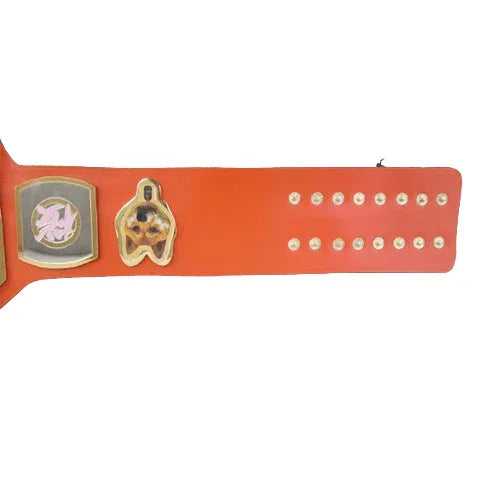 Kazushi Sakuraba Sugi IQ Wrestling Hunter Champion Inspired Belt - photo 3 of 3 | Brex International