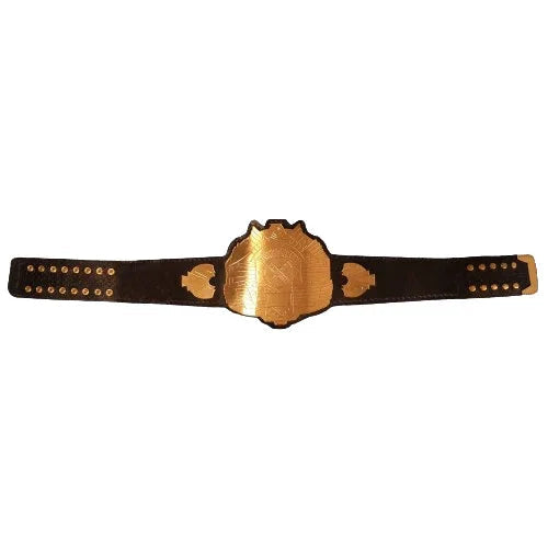 King of Pancras Championship Inspired Collectible Title Belt - photo 3 of 4 | Brex International