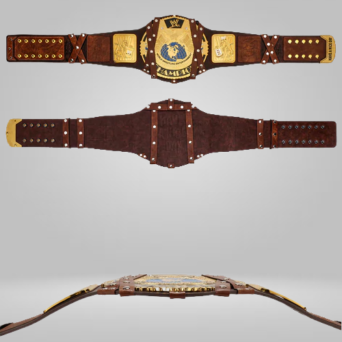 Mankind Signature Series Championship Replica Inspired Title - photo 3 of 6 | Brex International