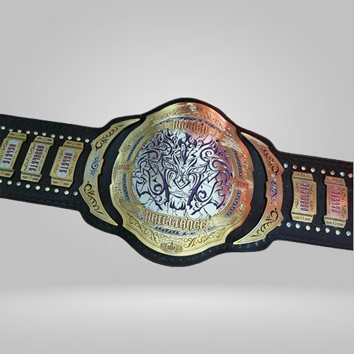 Matt and Jeff Hardy Broken Tag Team Wrestling Championship Inspired Belts - photo 1 of 2 | Brex International