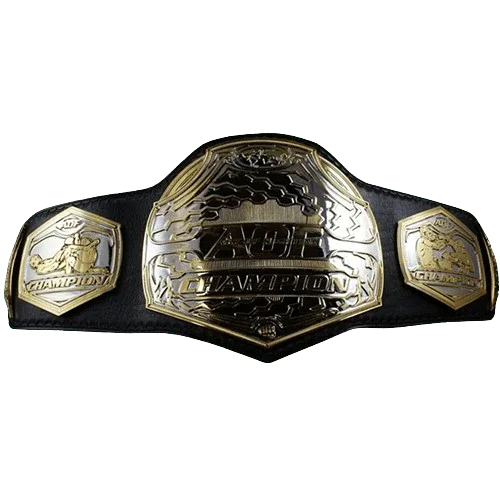 MMA Art of Champion Fighting Championship Inspired Belt - photo 1 of 2 | Brex International