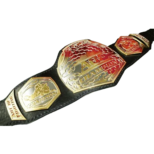 MMA Art of Champion Fighting Championship Inspired Belt - photo 2 of 2 | Brex International