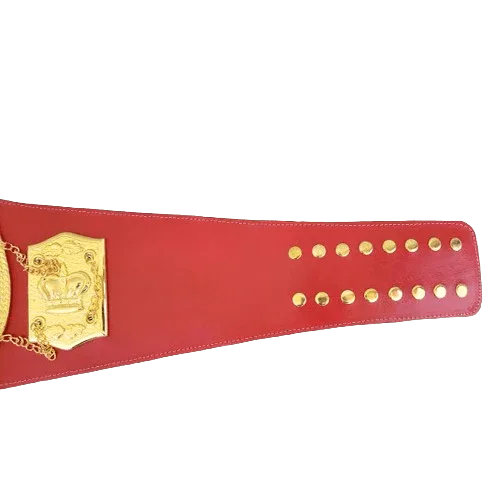 N.A.B.F 1973 Heavyweight Boxing Championship Inspired Title Belt - photo 3 of 3 | Brex International