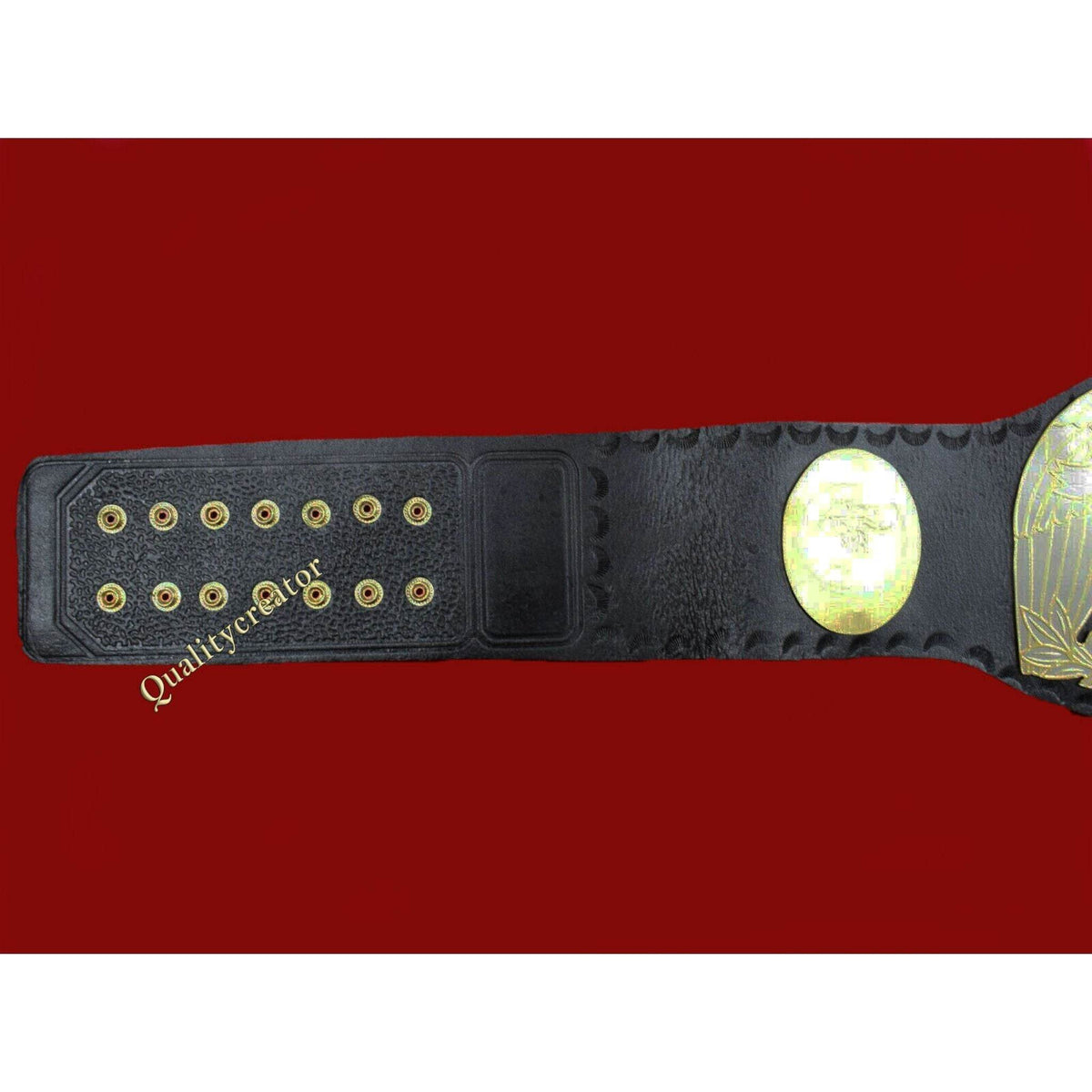 New IWA North America Heavyweight Wrestling Championship Inspired Belt - photo 2 of 5 | Brex International