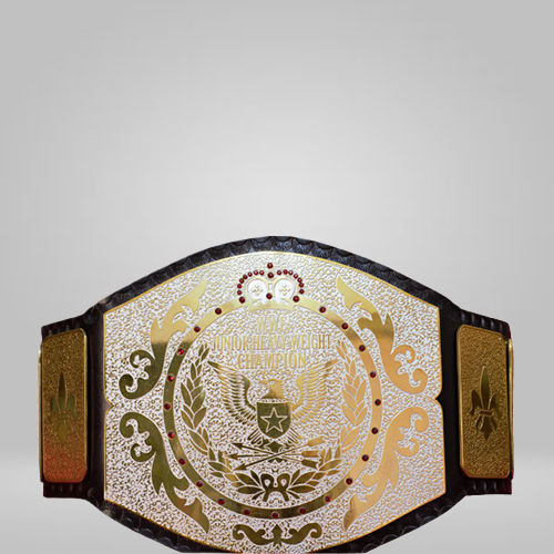 NEW Replica WWF Junior Wrestling Championship Inspired Belt - photo 1 of 2 | Brex International