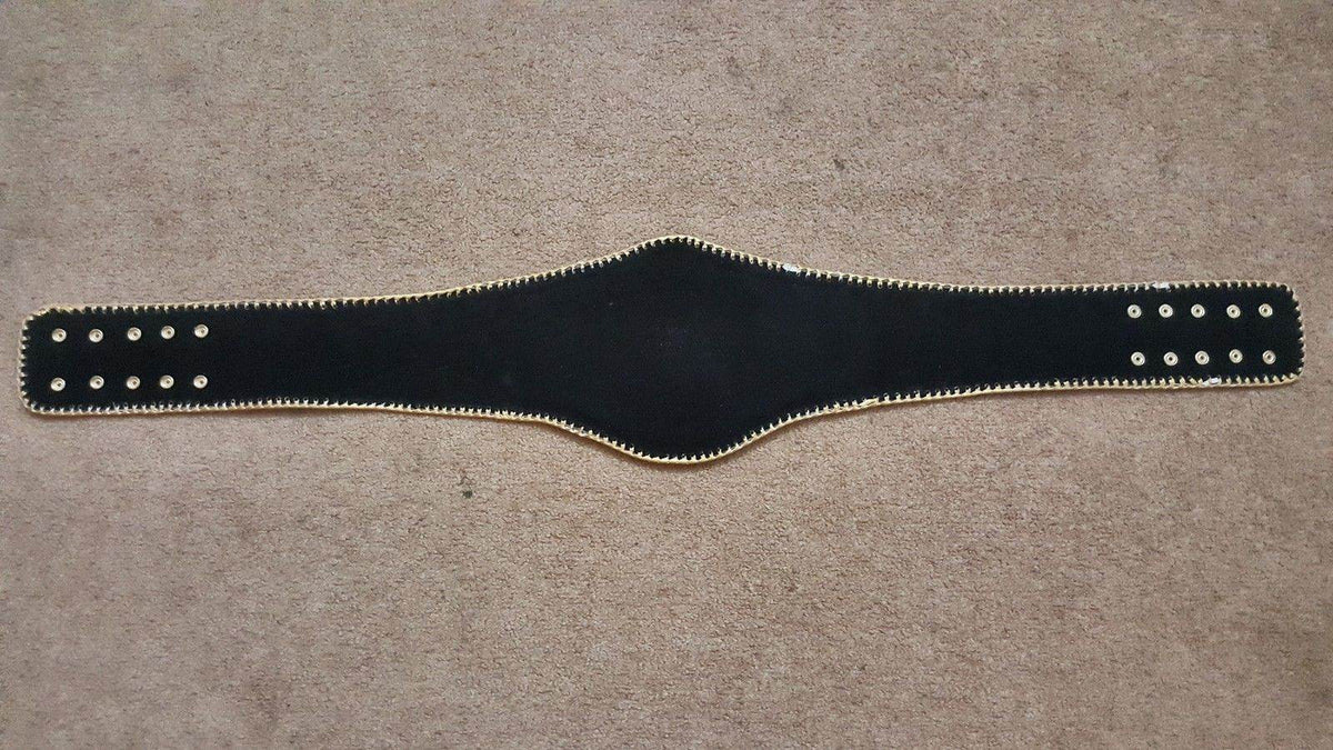 New South West Heavyweight Wrestling Championship Inspired Title Belt - photo 5 of 5 | Brex International