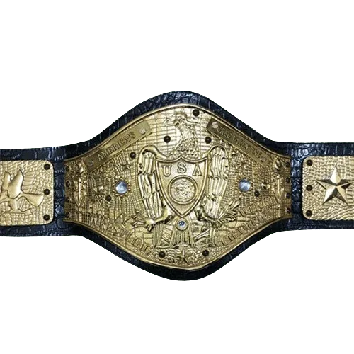NWA Americas Heavyweight Wrestling Champion Inspired Belt - photo 1 of 3 | Brex International