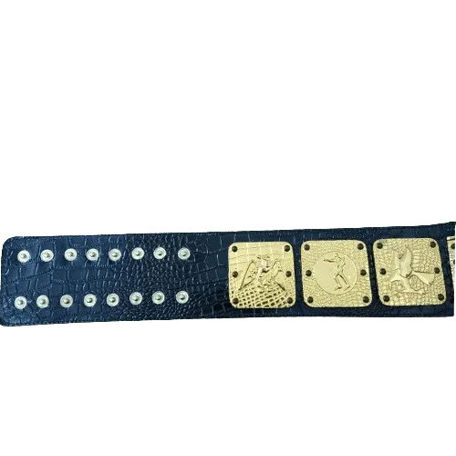 NWA Americas Heavyweight Wrestling Champion Inspired Belt - photo 2 of 3 | Brex International