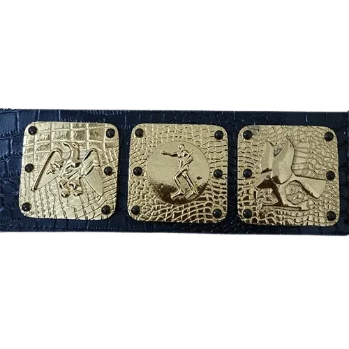 NWA Americas Heavyweight Wrestling Champion Inspired Collectible Belt - photo 1 of 3 | Brex International