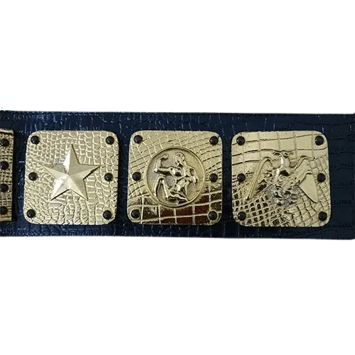 NWA Americas Heavyweight Wrestling Champion Inspired Collectible Belt - photo 2 of 3 | Brex International