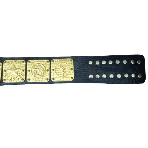 NWA Canadian Pacific Coast Classy Champion Inspired Collectible Title Belt - photo 3 of 3 | Brex International