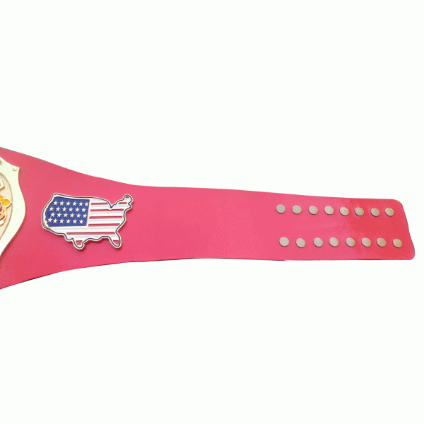 NWA Continental USA Heavyweight Wrestling Champion Inspired Belt - photo 2 of 4 | Brex International