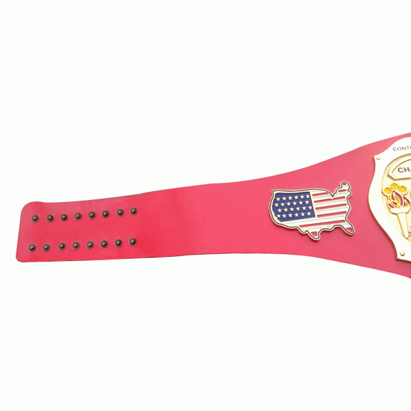 NWA Continental USA Heavyweight Wrestling Champion Inspired Belt - photo 3 of 4 | Brex International