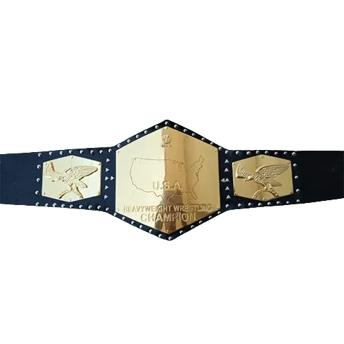 NWA Detroit United States Heavyweight Championship Inspired Belt - photo 1 of 3 | Brex International