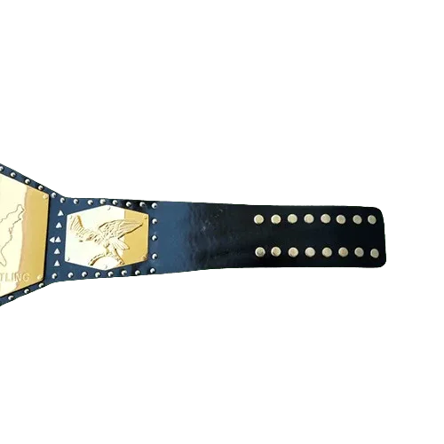 NWA Detroit United States Heavyweight Championship Inspired Belt - photo 2 of 3 | Brex International