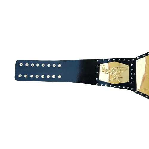 NWA Detroit United States Heavyweight Championship Inspired Belt - photo 3 of 3 | Brex International