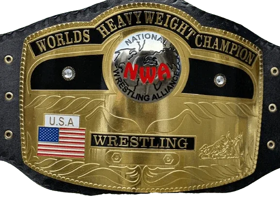 NWA Domed Globe World Wrestling Championship Inspired Collectible Title Belt - photo 1 of 4 | Brex International