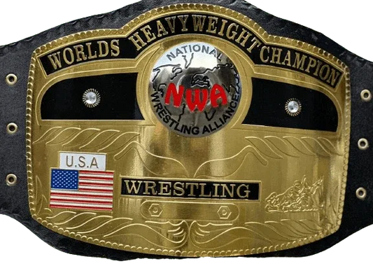 NWA Domed Globe World Wrestling Championship Inspired Collectible Title Belt - photo 1 of 4 | Brex International