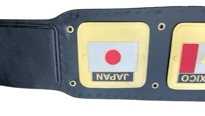 NWA Domed Globe World Wrestling Championship Inspired Collectible Title Belt - photo 4 of 4 | Brex International