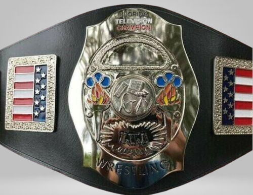 NWA Florida Television Wrestling Championship Inspired Belt Ray Stevens CWF Jack Brisco - photo 1 of 1 | Brex International
