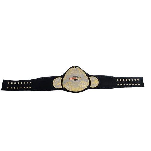 NWA Heritage title Wrestling Champion Inspired Belt Sean Waltman X-Pac TJP - photo 2 of 2 | Brex International