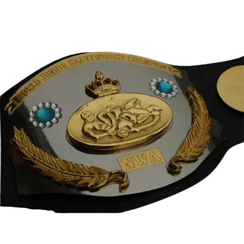 NWA Jr. World International Heavyweight Wrestling Champion Inspired Belt - photo 1 of 1 | Brex International