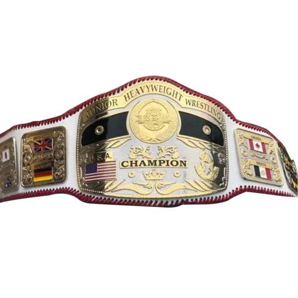 NWA Junior Heavyweight Championship Inspired Belt - photo 1 of 4 | Brex International