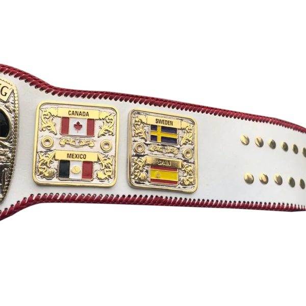 NWA Junior Heavyweight Championship Inspired Belt - photo 3 of 4 | Brex International