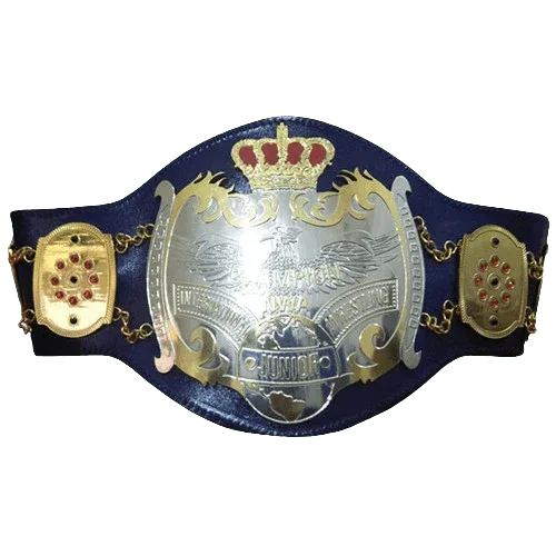 NWA Junior Heavyweight Inspired Championship Collectible Belt - photo 1 of 4 | Brex International
