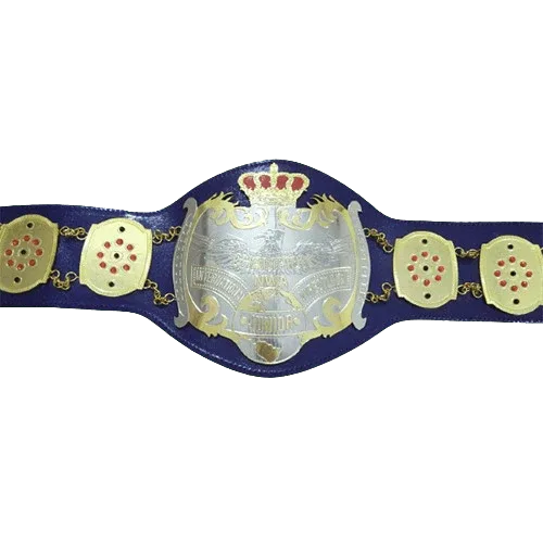 NWA Junior Heavyweight Inspired Championship Collectible Belt - photo 2 of 4 | Brex International