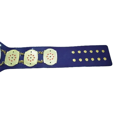 NWA Junior Heavyweight Inspired Championship Collectible Belt - photo 3 of 4 | Brex International