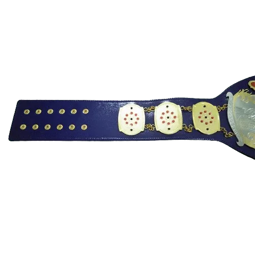 NWA Junior Heavyweight Inspired Championship Collectible Belt - photo 4 of 4 | Brex International