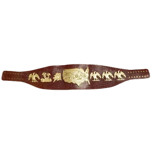 NWA Mid-Atlantic Bob Backlund Heavyweight Wrestling Champion Inspired Belt - photo 1 of 1 | Brex International