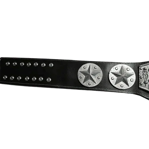 NWA Mid-Atlantic Eastern Heavyweight Wrestling Champion Inspired Belt - photo 2 of 3 | Brex International
