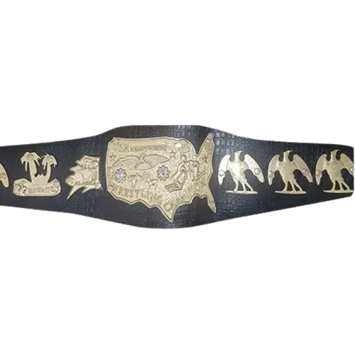 NWA Mid-Atlantic USA Heavyweight Wrestling Title Champion Inspired Belt - photo 1 of 1 | Brex International