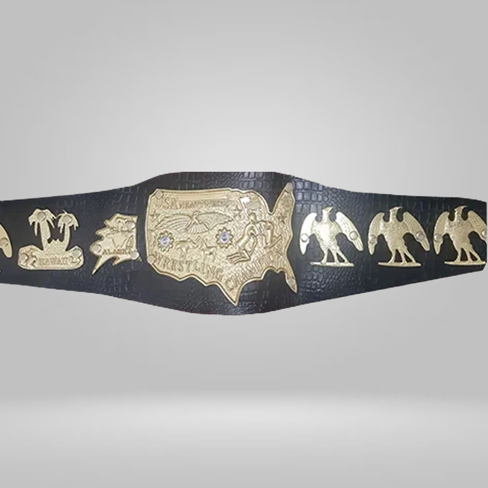 NWA Mid-Atlantic USA Heavyweihgt Heavyweight Wrestling Title Champion Inspired Belt Flair Wahoo Mulligan Valentine Piper Black Strap - photo 1 of 1 | Brex International