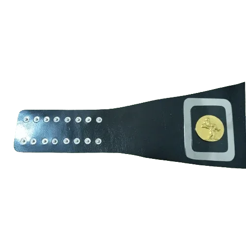 NWA Mike Jackson Championship Inspired Collectible Title Belt - photo 3 of 3 | Brex International