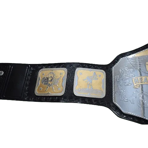NWA National Heavyweight Championship Inspired Title Belt - photo 4 of 4 | Brex International