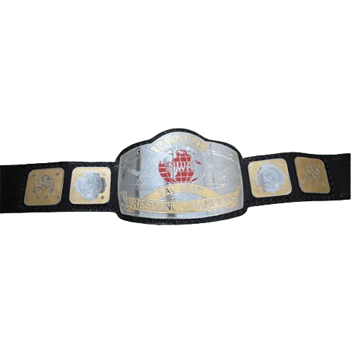 NWA National Tag Team Championship Title Inspired Collectible Belt - photo 2 of 3 | Brex International