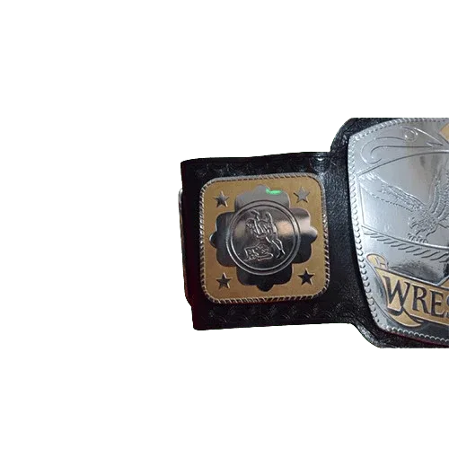 NWA National Tag Team Championship Title Inspired Collectible Belt - photo 3 of 3 | Brex International