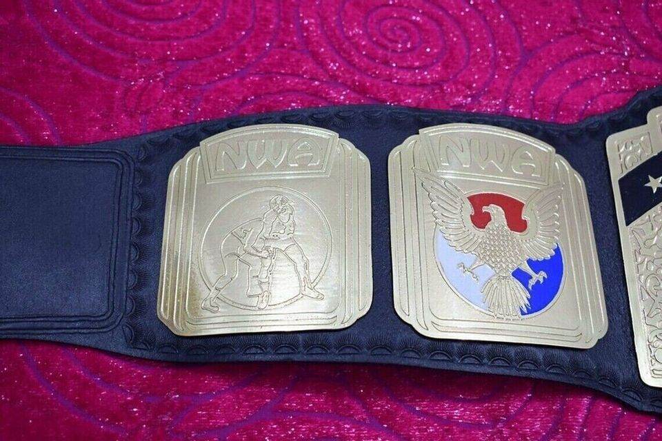 NWA North American Heavyweight Wrestling Champion Inspired Title Belt - photo 5 of 6 | Brex International