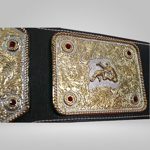 NWA RIC FLAIR World Heavyweight Wrestling Championship Belt WCW Champion Inspired Belt - photo 2 of 3 | Brex International