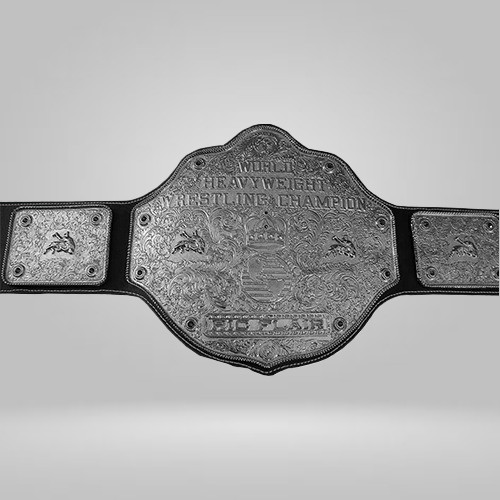 NWA RIC FLAIR World Heavyweight Wrestling Championship Belt WCW Champion Inspired Belt - photo 3 of 3 | Brex International