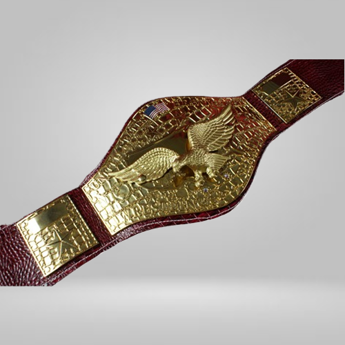 NWA “Sheik” United States Wrestling championship Inspired Title Belt - photo 1 of 2 | Brex International