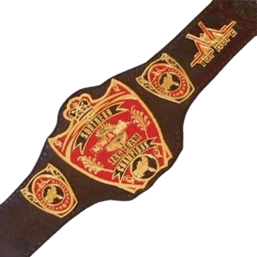 NWA Southern Tag Team Champion Inspired Belt Old Championship USA Top - photo 1 of 1 | Brex International