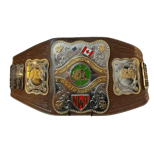 NWA Stampede North American Heavyweight Championship Inspired Belt - photo 1 of 1 | Brex International