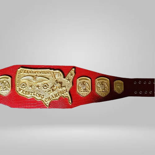NWA United States Heavyweight Champion The Iron Shiek Backlund USA Inspired Belt - photo 2 of 3 | Brex International